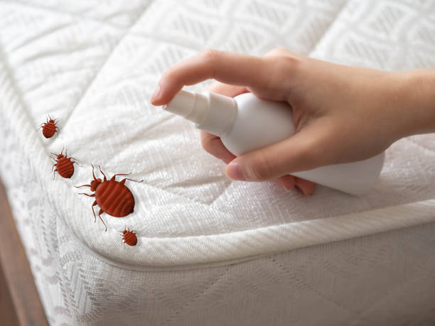 Best Best Pest Control Companies  in Vandalia, OH